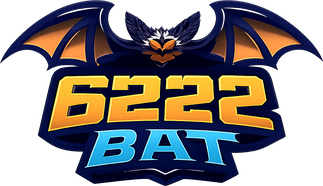 6222 bat